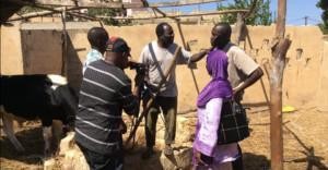 video production in FoodAfrica project