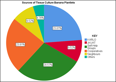 Pie chart with colourful sectors. Content has been described in the text.