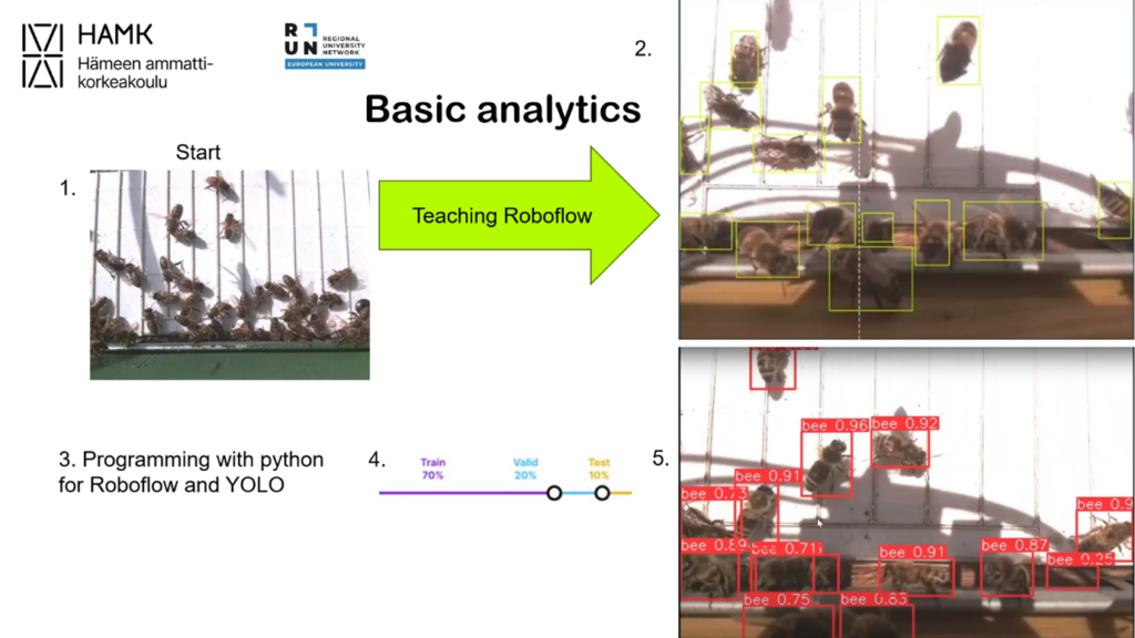 Before and after pictures of how AI identifies bees in a picture. On the left is the original image of the bees, on the right are two images after AI recognition. In the images on the right, there are coloured frames around the bees to show how the AI recognises them.